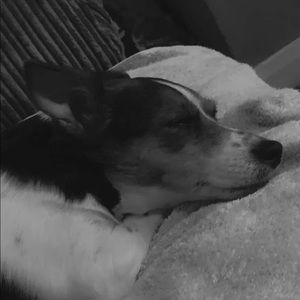 Meet your Posher, Lily